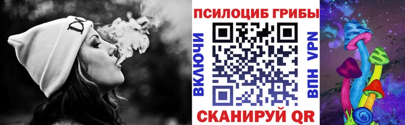 Псилоцибиновые грибы Psilocybe  Кизляр 